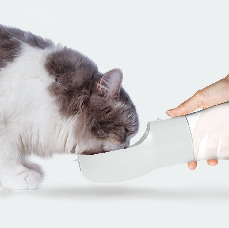 Portable Dog Traveling Out Water Dispenser