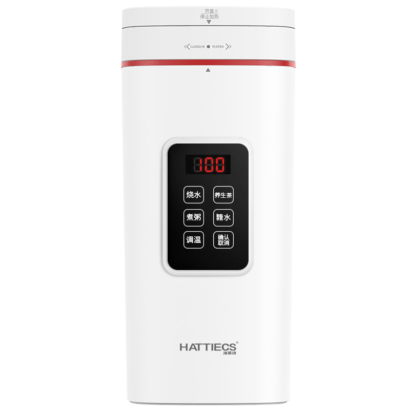 Mini Portable Electric Kettle