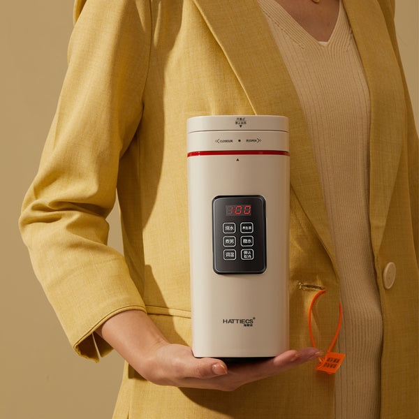Mini Portable Electric Kettle